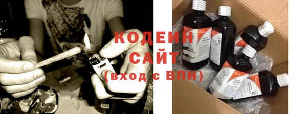 ГАЛЛЮЦИНОГЕННЫЕ ГРИБЫ Алексин
