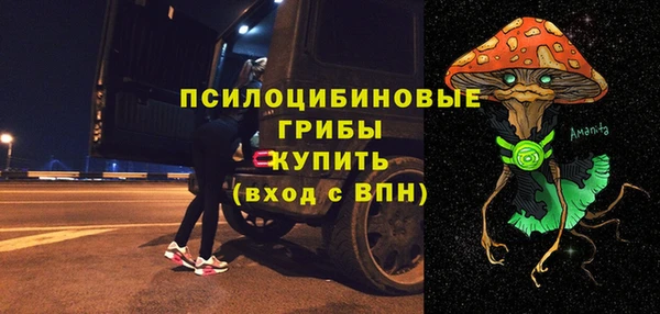 ГАЛЛЮЦИНОГЕННЫЕ ГРИБЫ Алексин