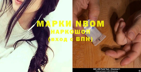 ГАЛЛЮЦИНОГЕННЫЕ ГРИБЫ Алексин