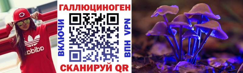 Псилоцибиновые грибы Psilocybe  Апатиты 